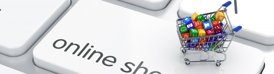 immagine e-commerce energy3store